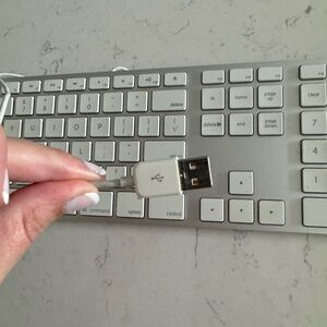 Genuine Apple USB Wired Keyboard
A1243 with 10 Key for iMac, Mac Mini, Mac Pro